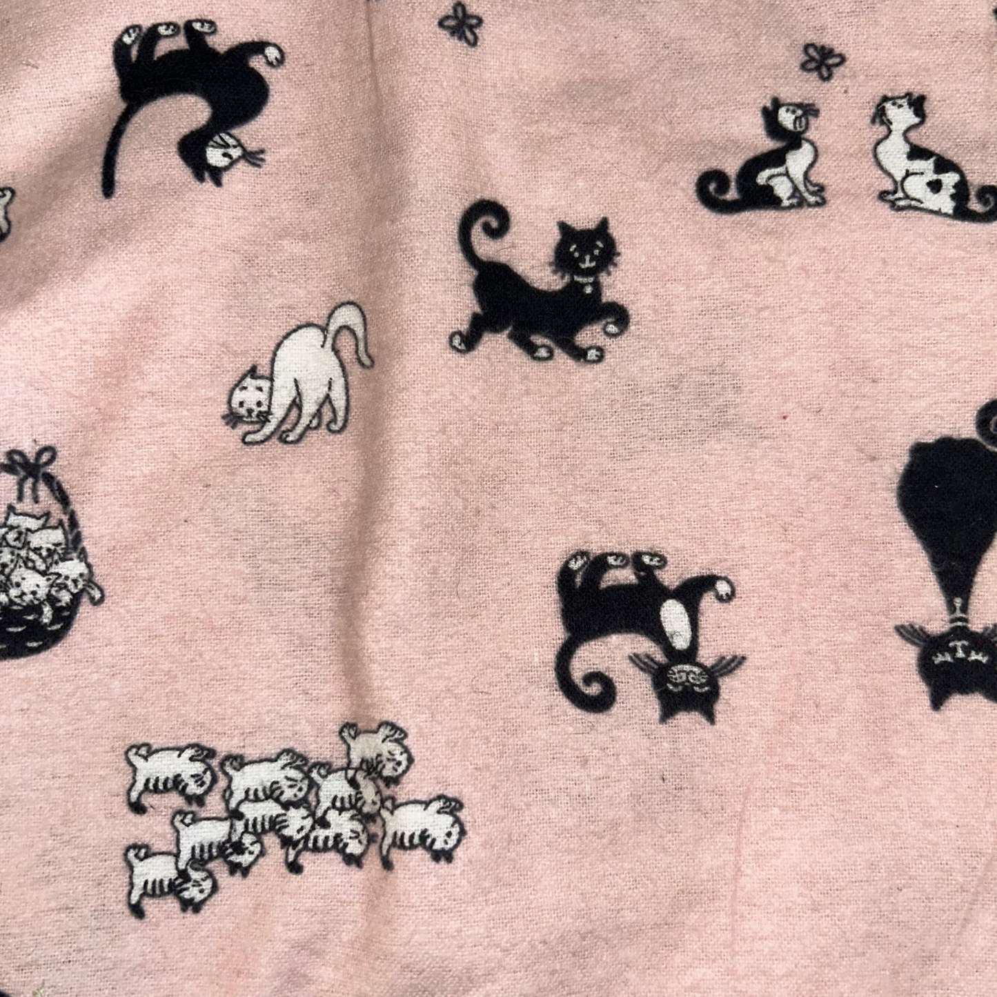 Pretty Kitty Catnip Kicker