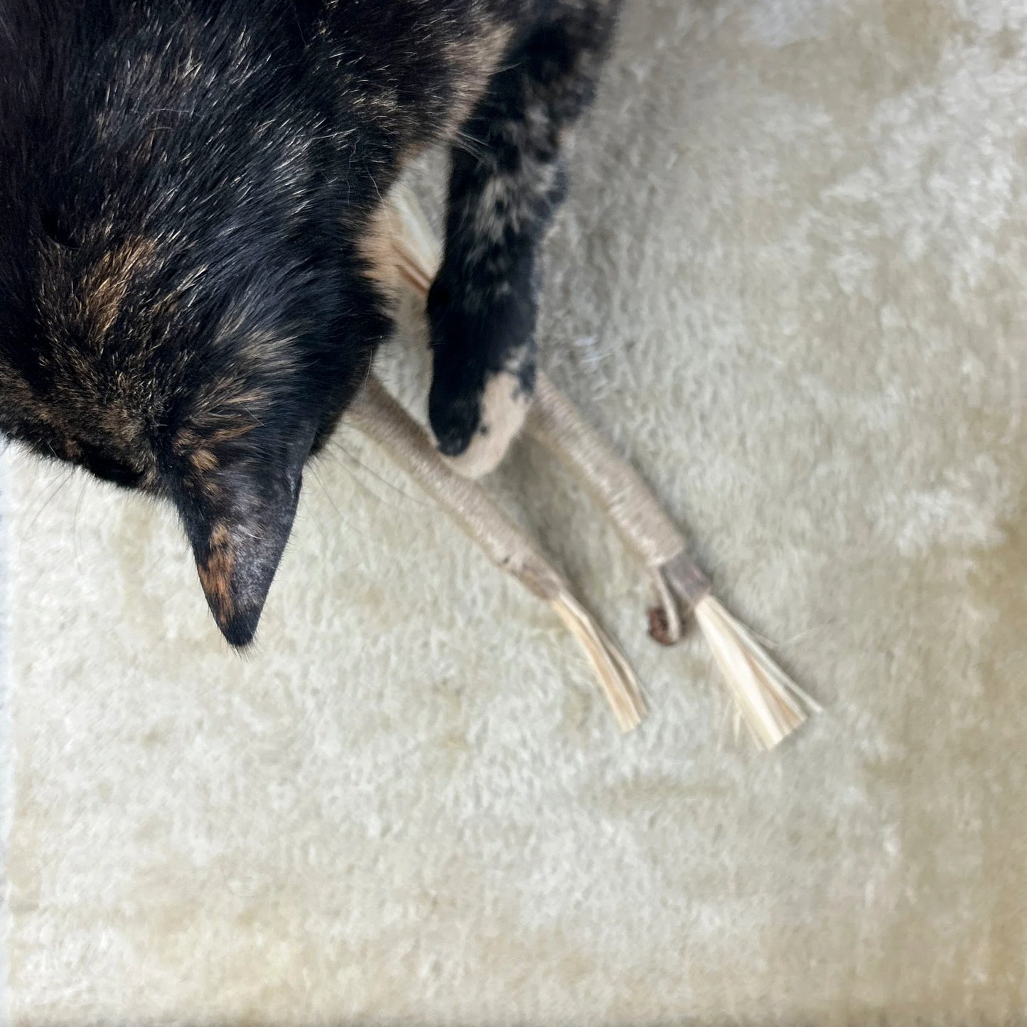 Silvervine Dental Chew