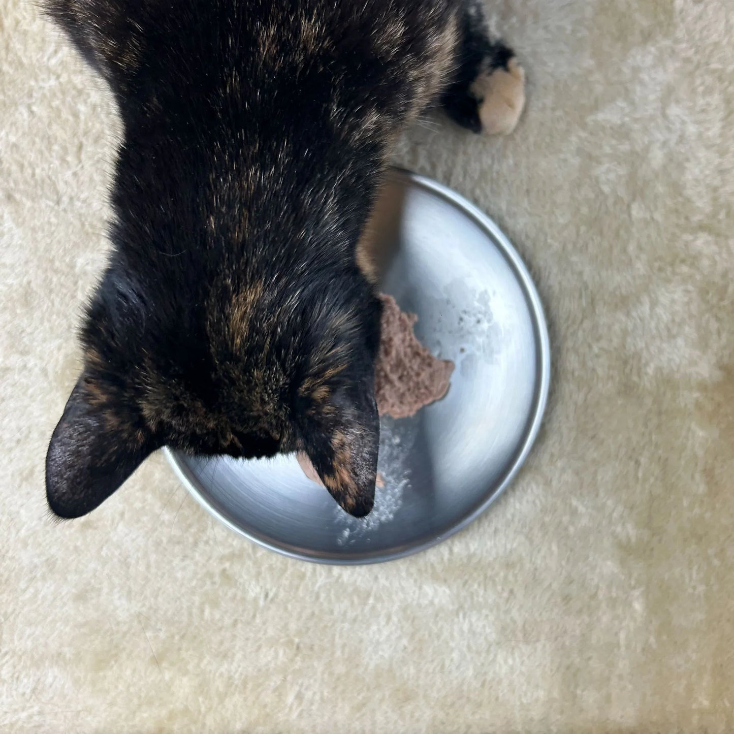 Stainless Steel Plates (Pack of 4)