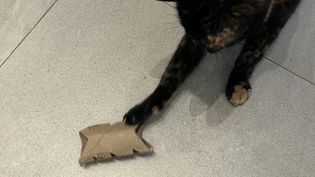 DIY Cat Puzzle: Toilet Roll Treat Puzzle
