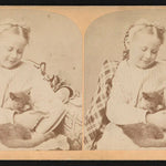 Cats and Humans: A Long Friendship, but a Short Co‑Habitation