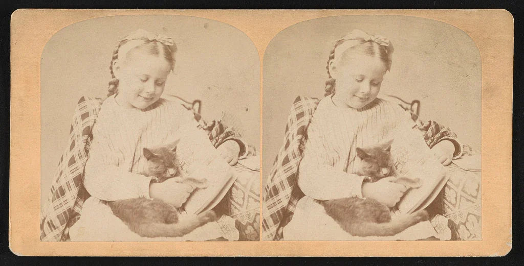 Cats and Humans: A Long Friendship, but a Short Co‑Habitation