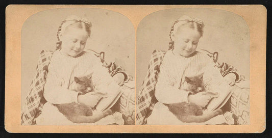 Cats and Humans: A Long Friendship, but a Short Co‑Habitation