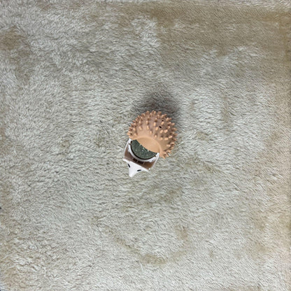 Catnip Hedgehogs