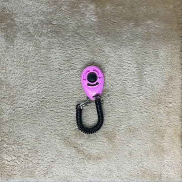 Training Clicker