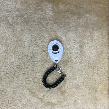 Training Clicker