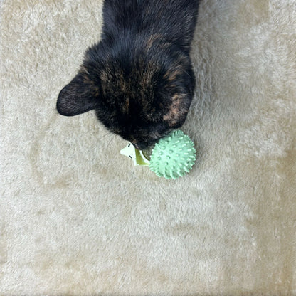 Catnip Hedgehogs
